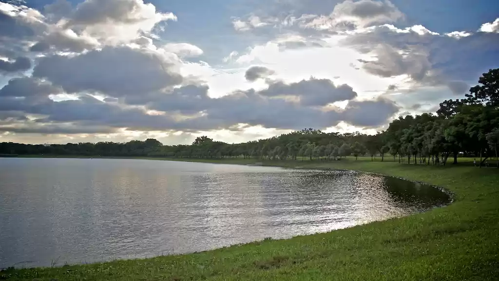 Photo of Natural Singapore - 