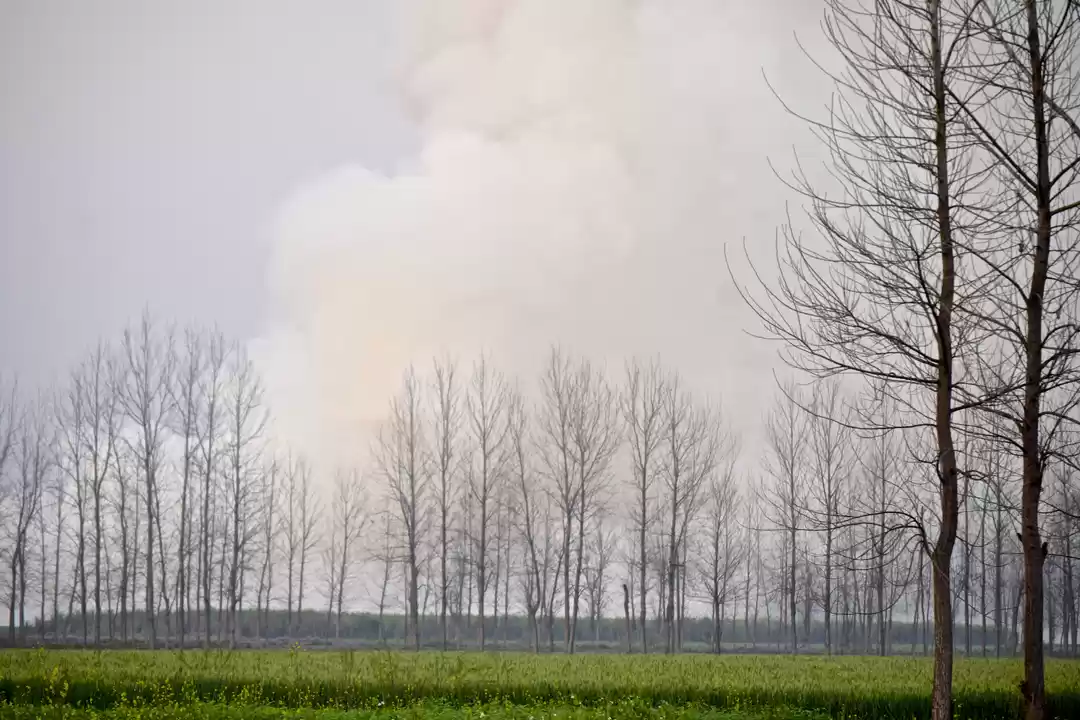 Photo of February Scenes Arou