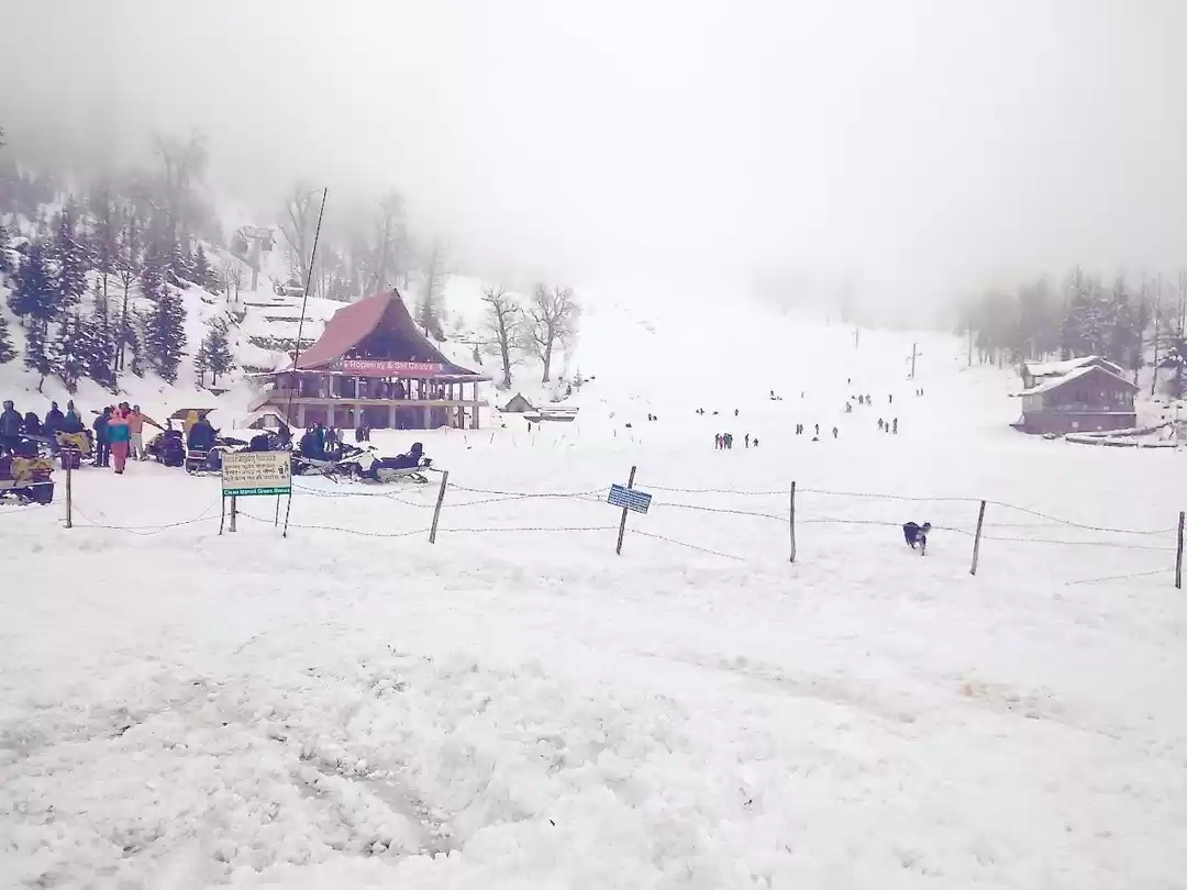 Photo of In The Hunt Of Snow