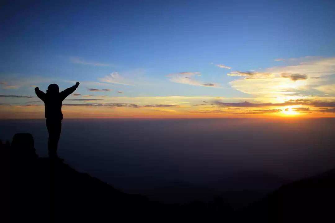 Photo of Whispers in the Moun