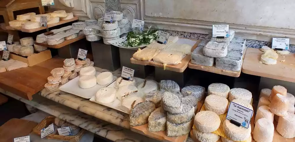 Photo of 6 Indian Cheese That