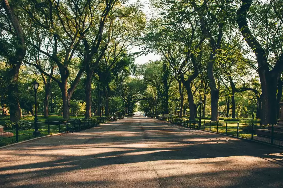 Photo of 7 Best Parks in Beng