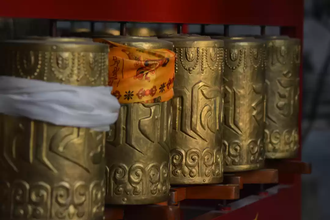 Photo of Exploring Entire Him