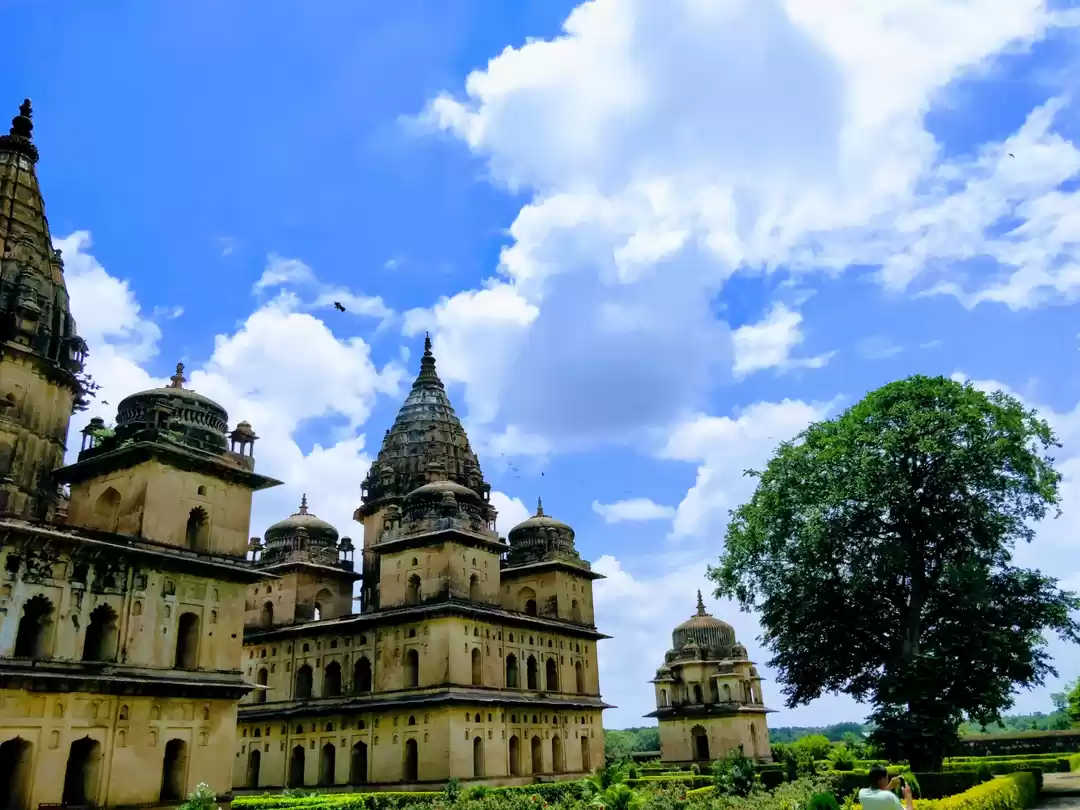 Photo of Dear Orchha! 