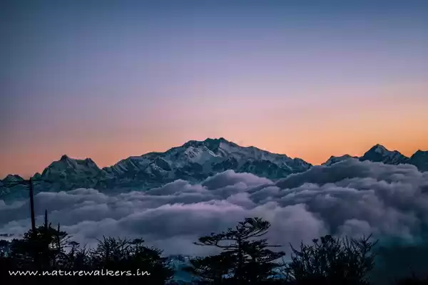 Photo of Some of the Best off