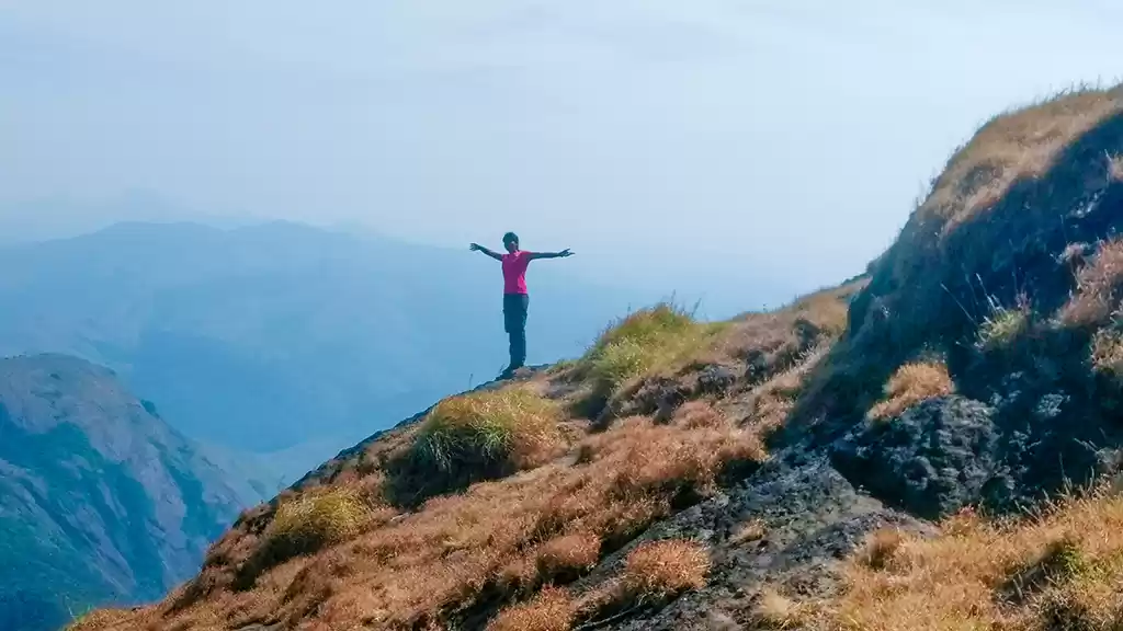 Photo of The Trek Next Door -