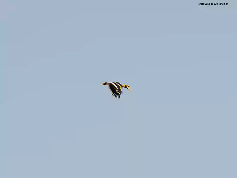 Photo of To the land of Hornb