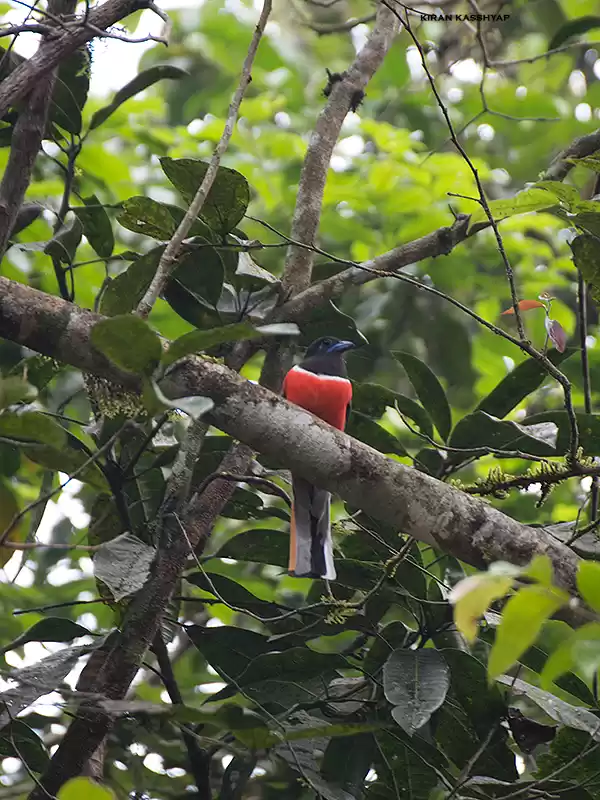 Photo of To the land of Hornb