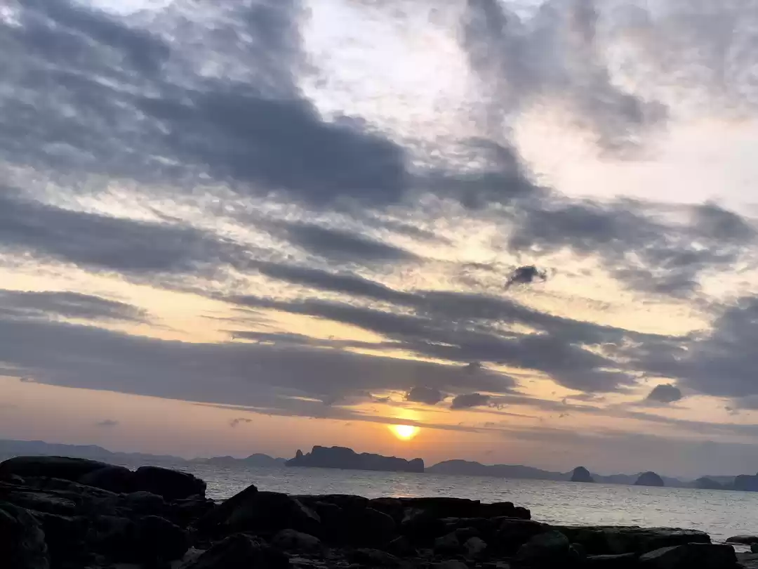 Photo of Krabi: Palm fringe b