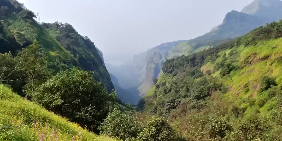 Photo of Andharban Jungle Tre