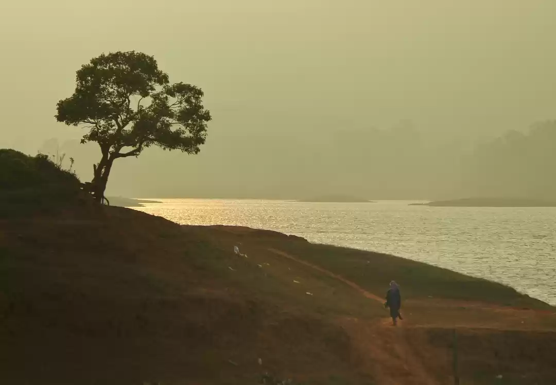 Photo of banasura mud Dam, K