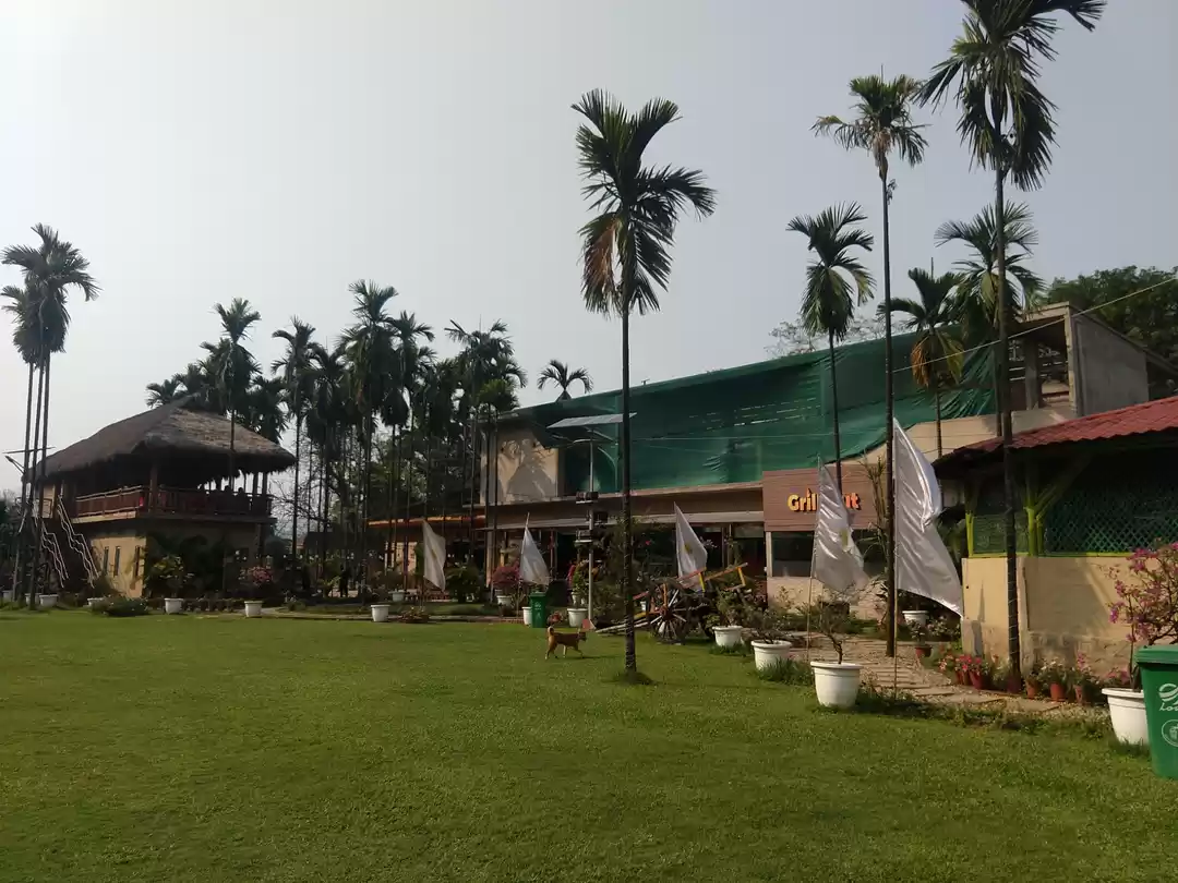 Photo of Day Trip to Panacea: