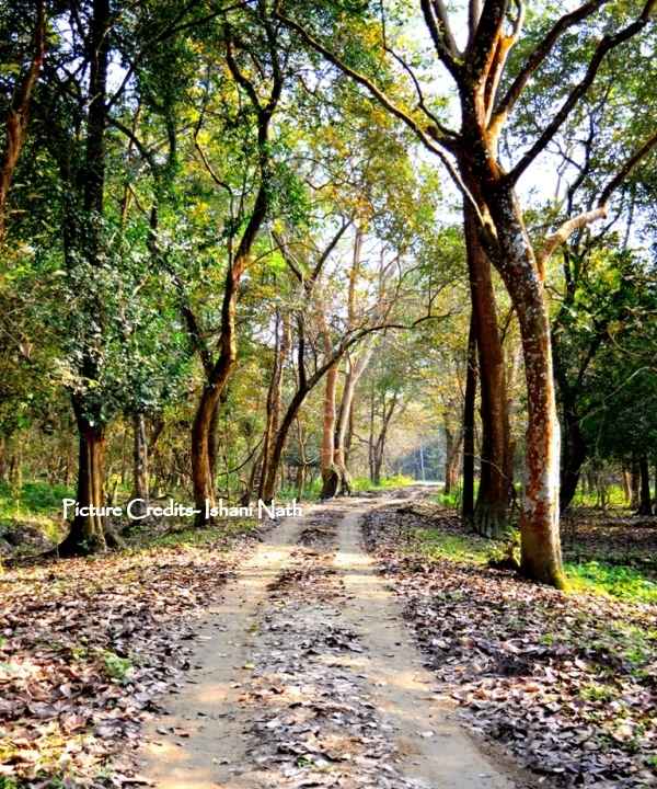 Photo of Seven Best Weekend Getaways From Guwahati