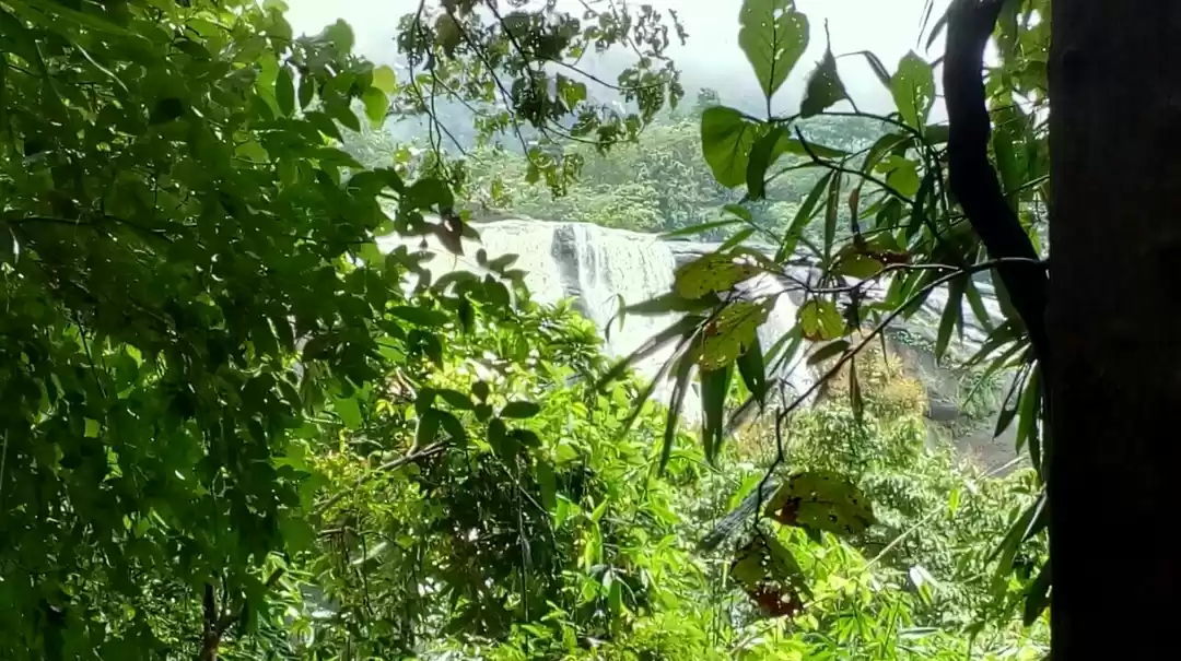Photo of Thrissur - Sunshine 