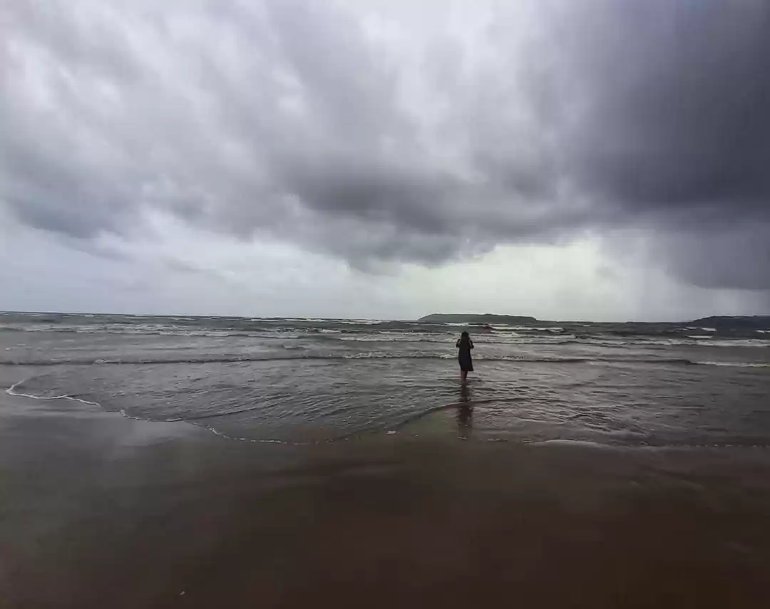 Photo of A monsoon rendezvous