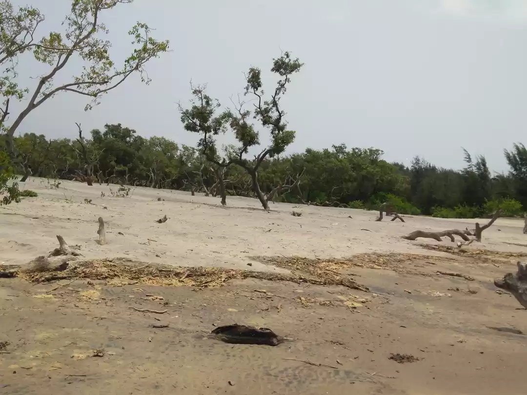 Photo of The unexplored land