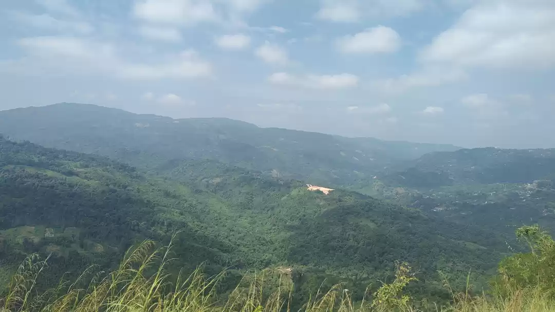 Photo of Explore the 'Swizerl