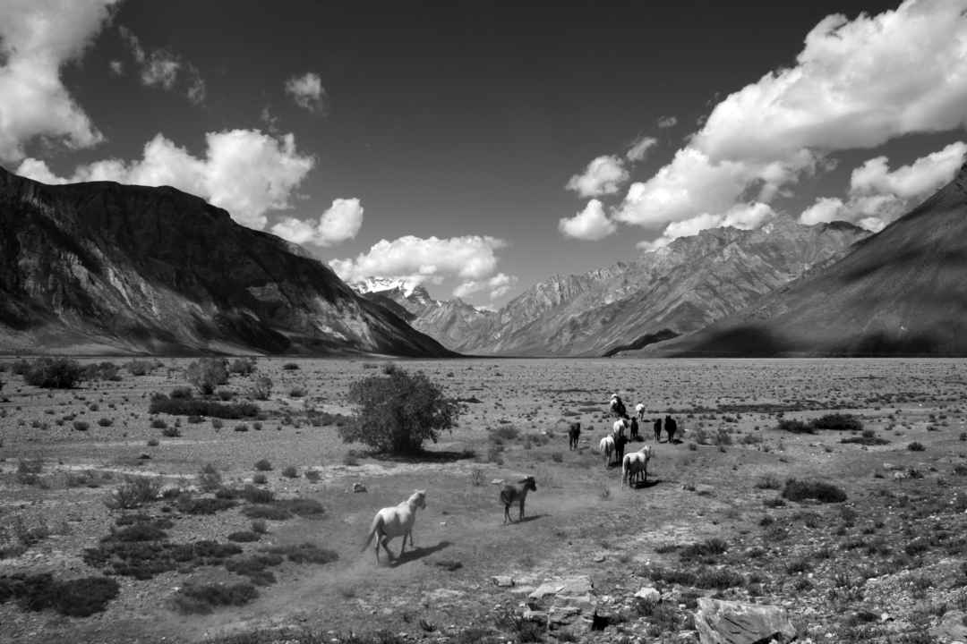 Photo of Go Nowhere. Zanskar.
#BestTravelPictures
#india
@jetairways @tripotocommunity