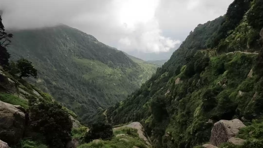 Photo of Triund trek - Paradi