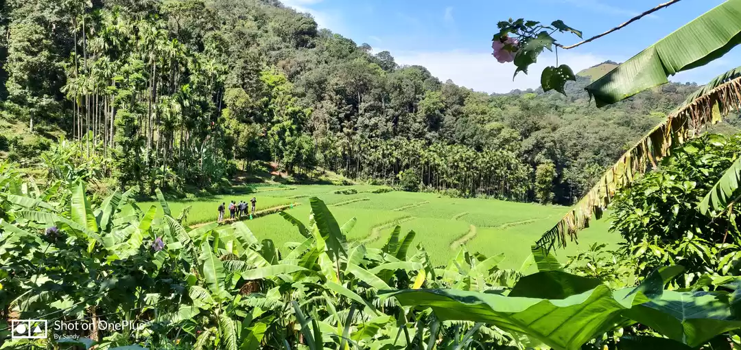 Photo of Escape to Kodachadri