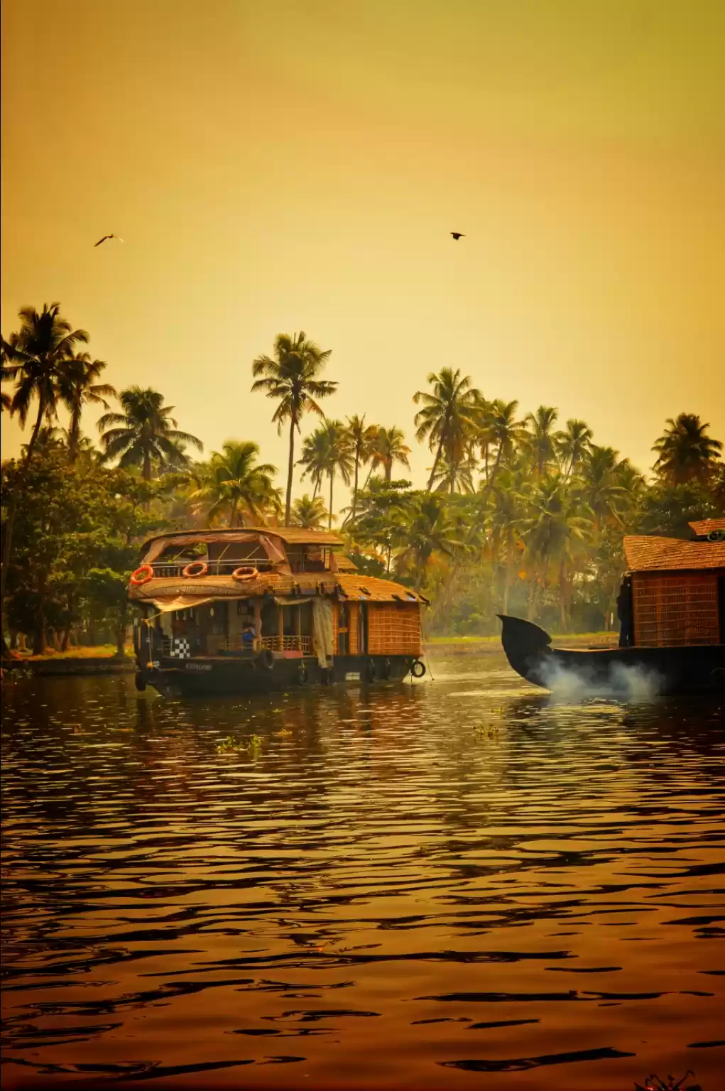 Photo of Alleppey -The Venice