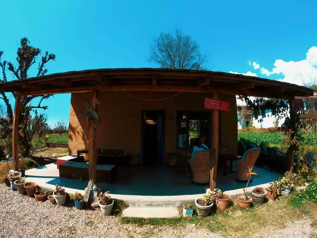 Photo of Us, the new age noma