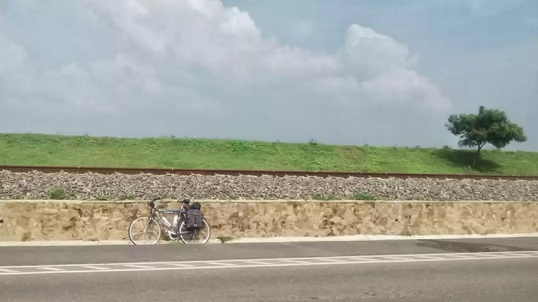 Photo of This Is How I Self-F