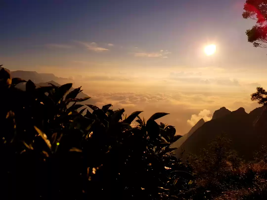 Photo of Magical Munnar