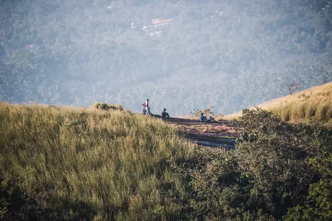 Photo of Kodikuthimala: A hou