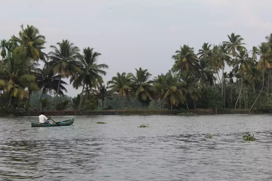 Photo of A week in God's own 