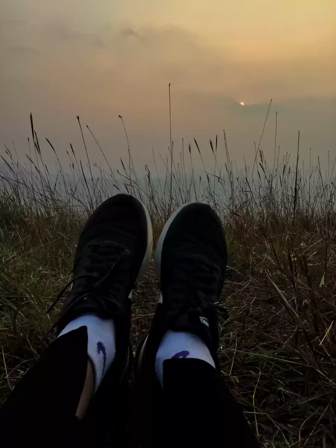 Photo of Munnar Through My Le