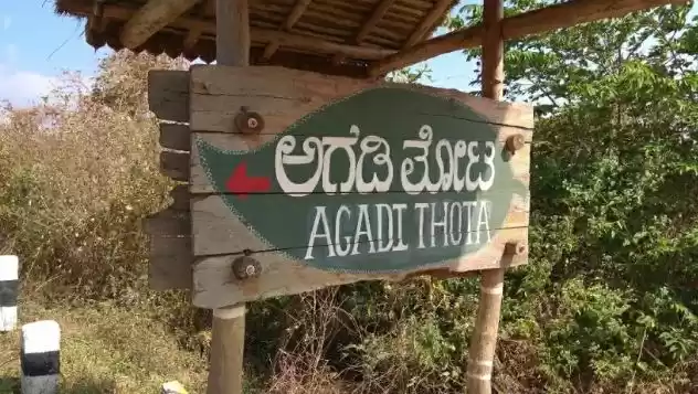 Photo of A Day Trip to Agadi 