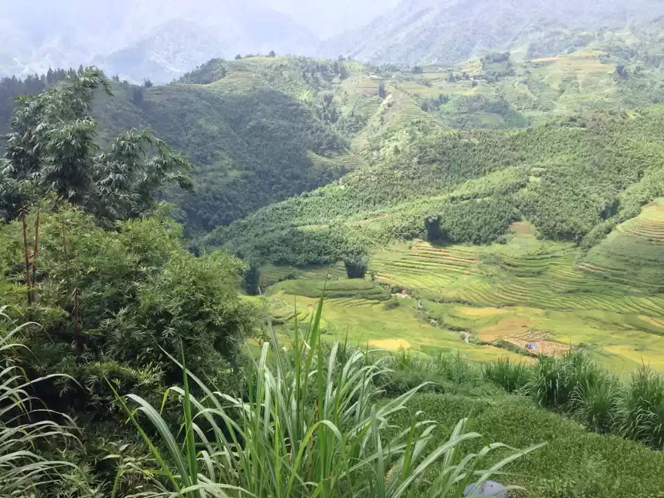 Photo of Vietnam Under ₹60,00