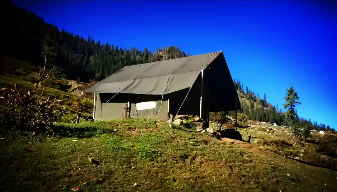 Photo of What I learned from 