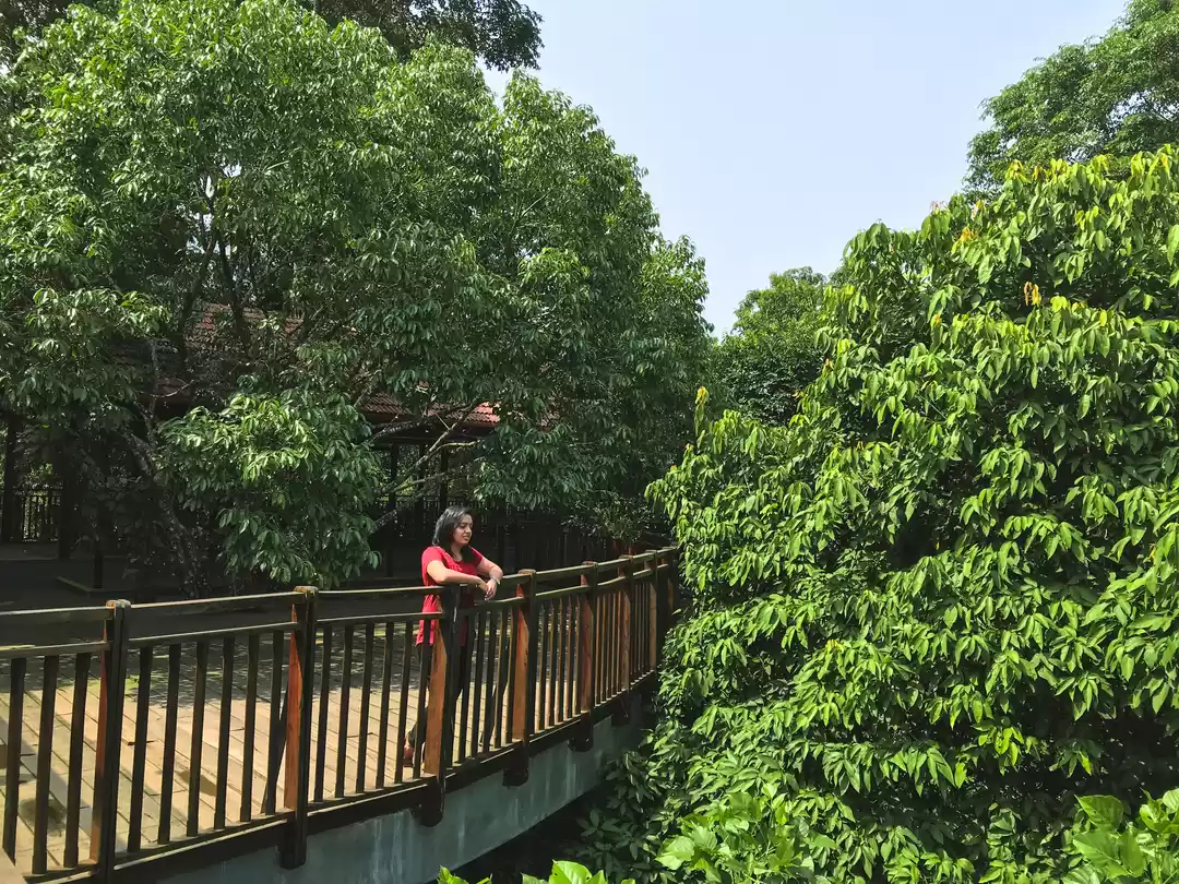 Photo of Stay in the wilderne