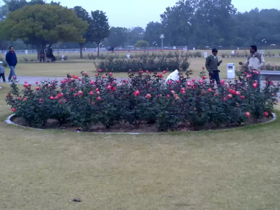 Photo of Chandigarh- The City