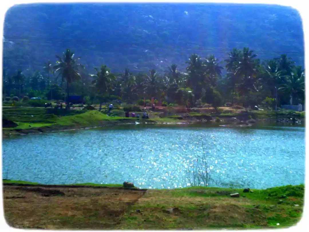 Photo of Harmonious Hogenakka