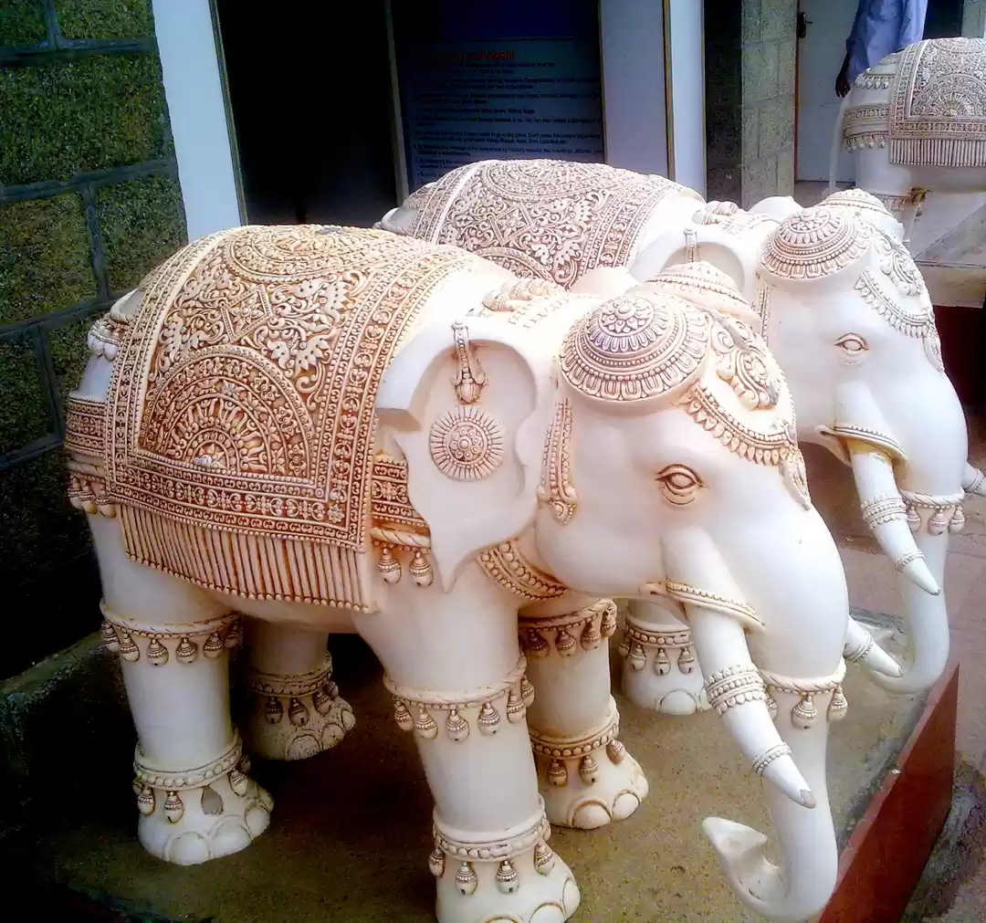 Photo of Cape Comorin and Suc