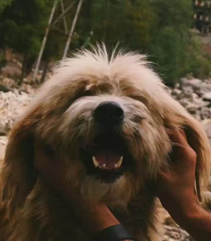 Photo of 6 hours with a huma