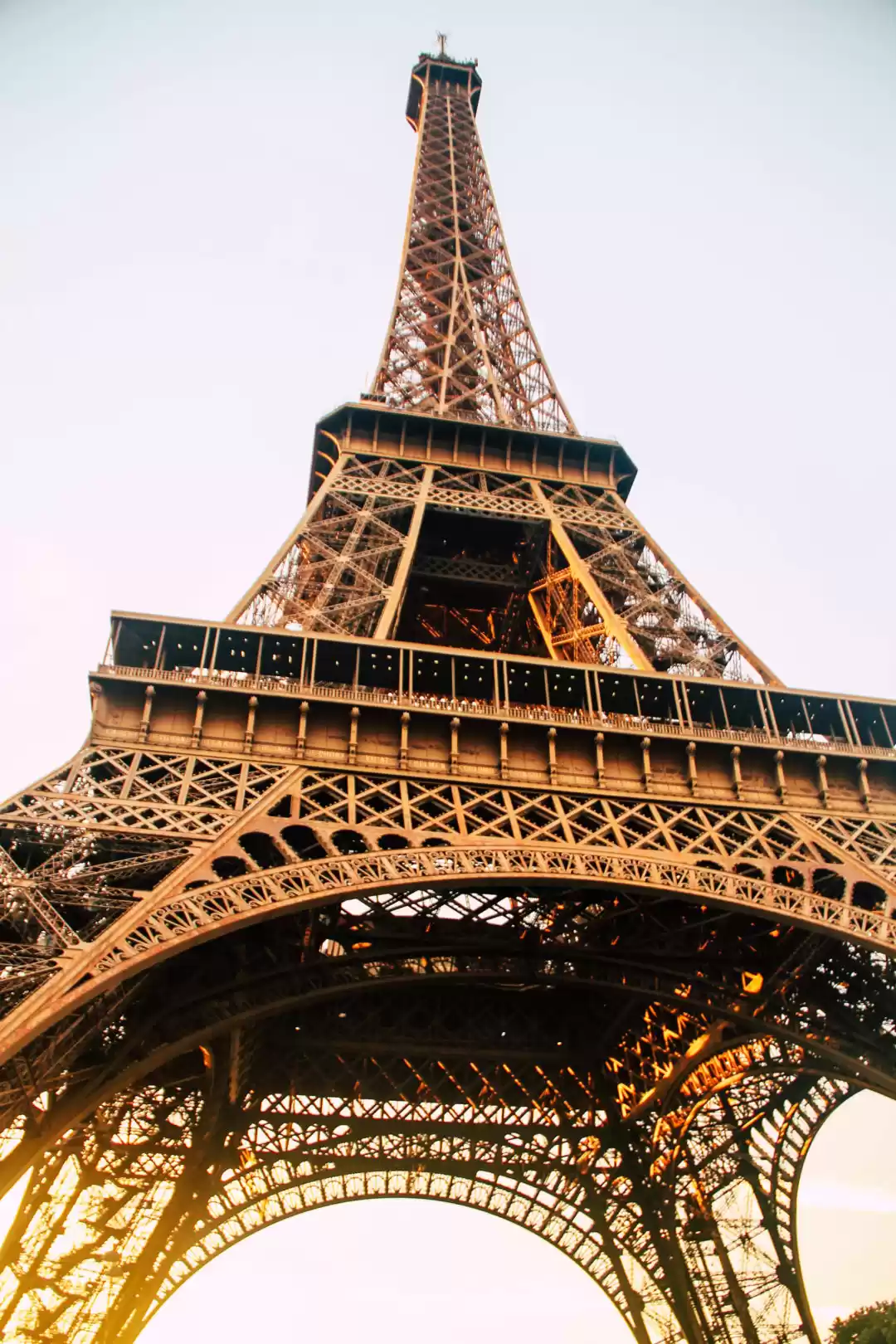 Photo of Wondering Which Inte