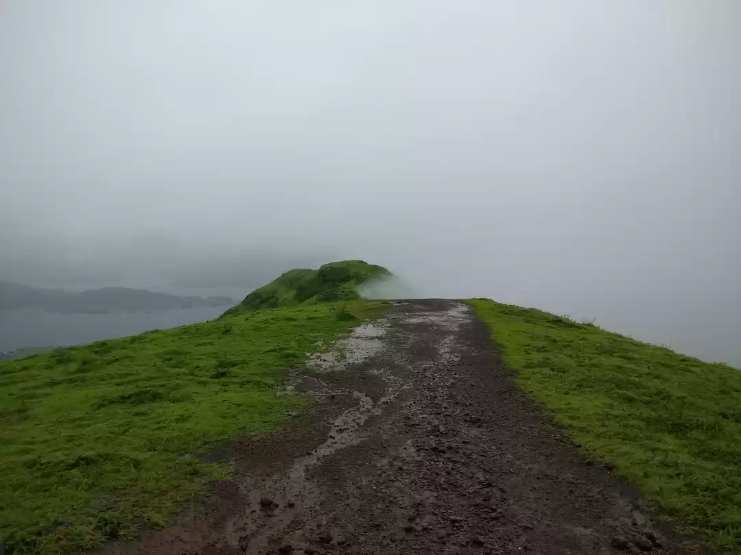 Photo of Torna Fort: Trek to 
