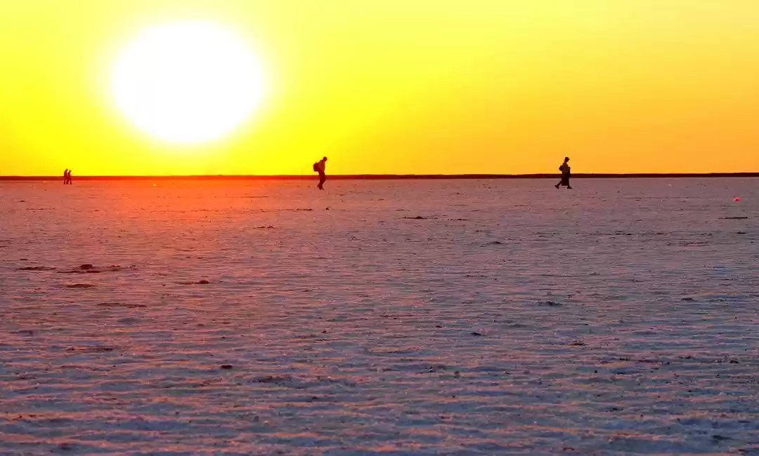 Photo of Rann of Kutch (Gujar
