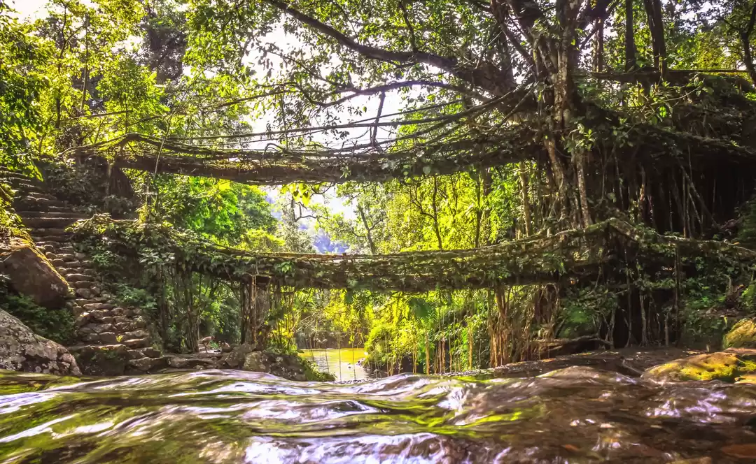 Photo of An amazing backpacki
