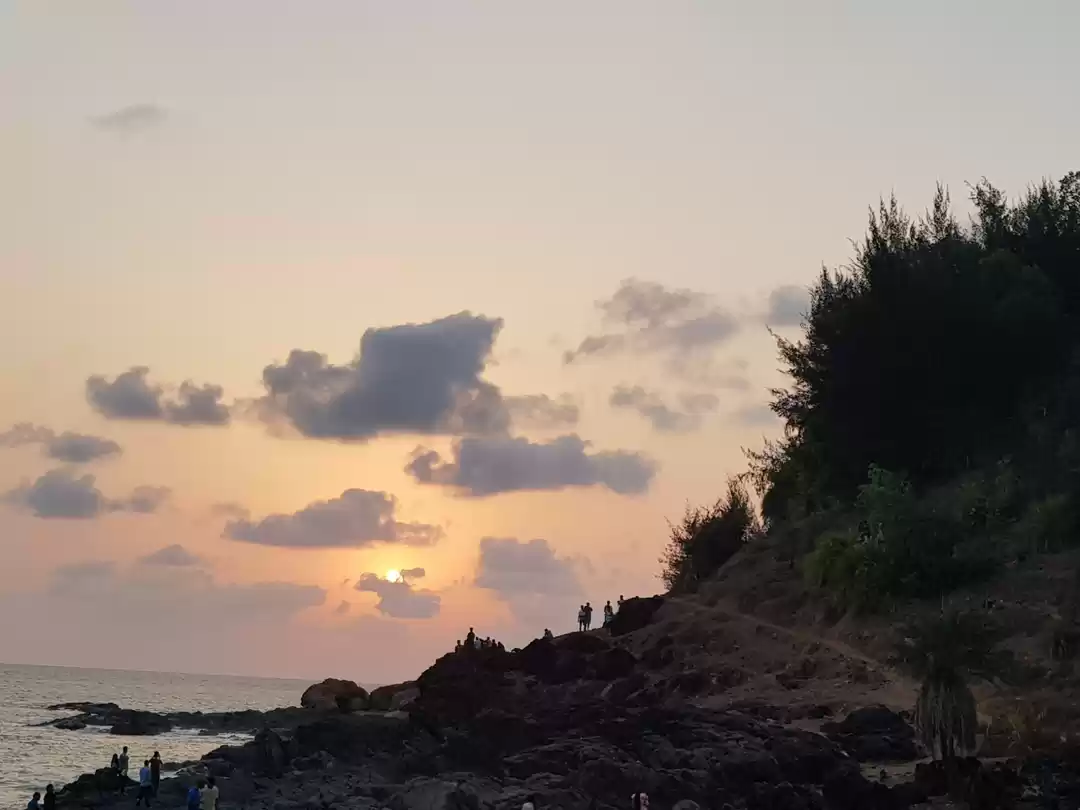 Photo of A walk along the coa