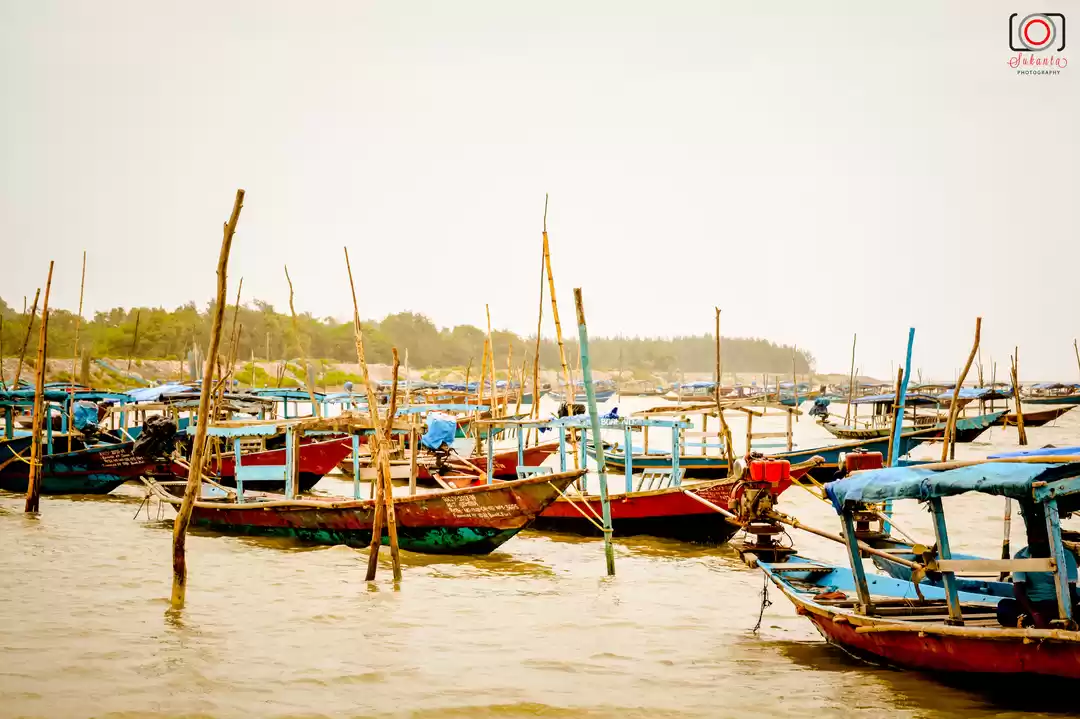 Photo of Chilika Lake - The W
