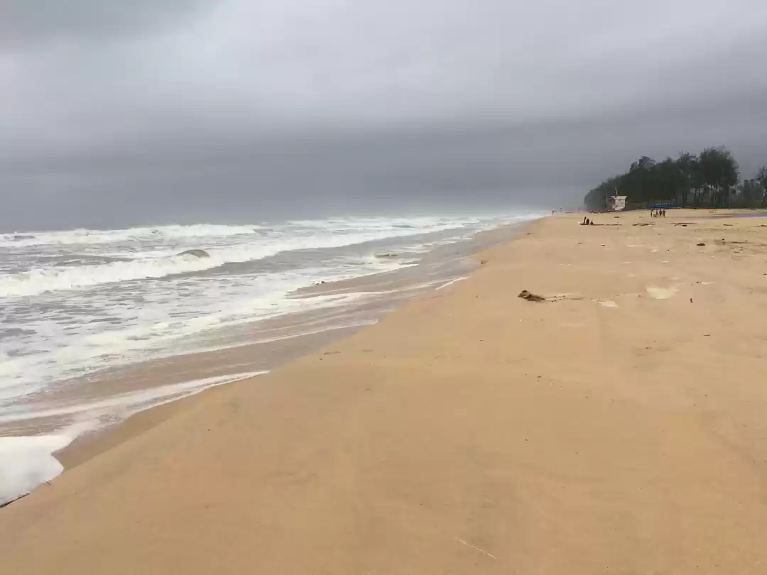 Photo of Take me Back...