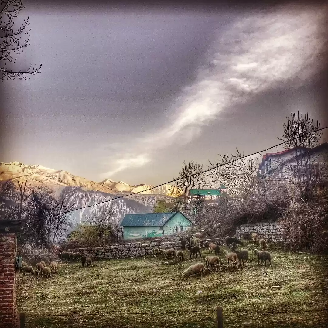 Photo of Planning a short tri