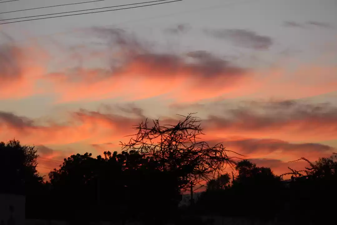 Photo of The Royal Road trip: