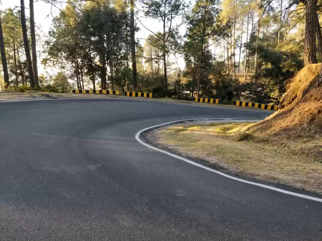 Photo of Mesmerising:Ranikhet