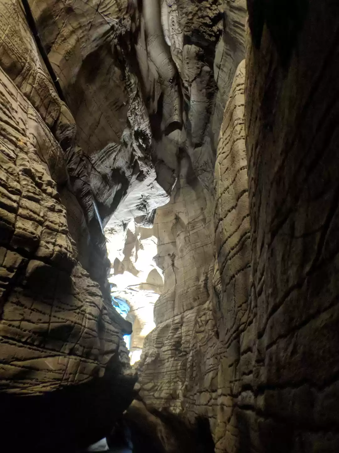 Photo of Beauty of belum